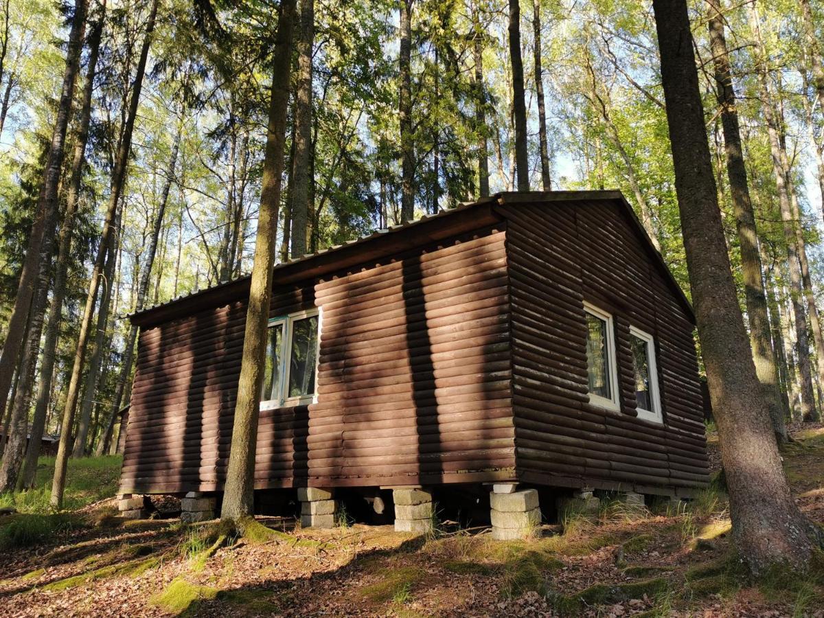 Nova Mazury * Swieta Lipka