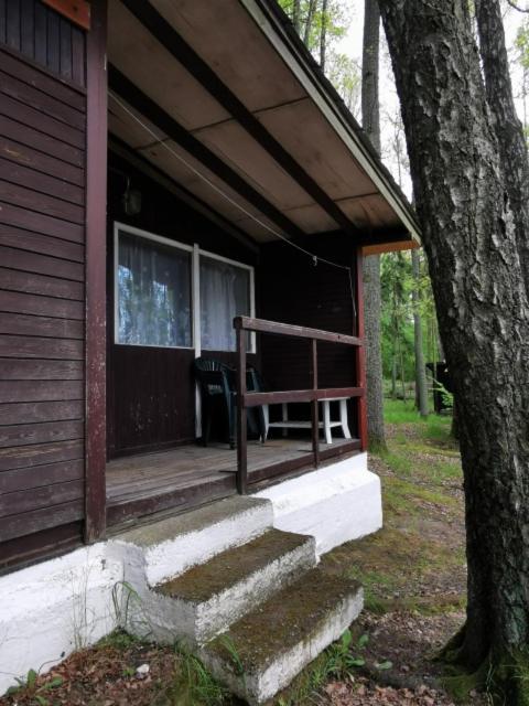 Nova Mazury * Swieta Lipka