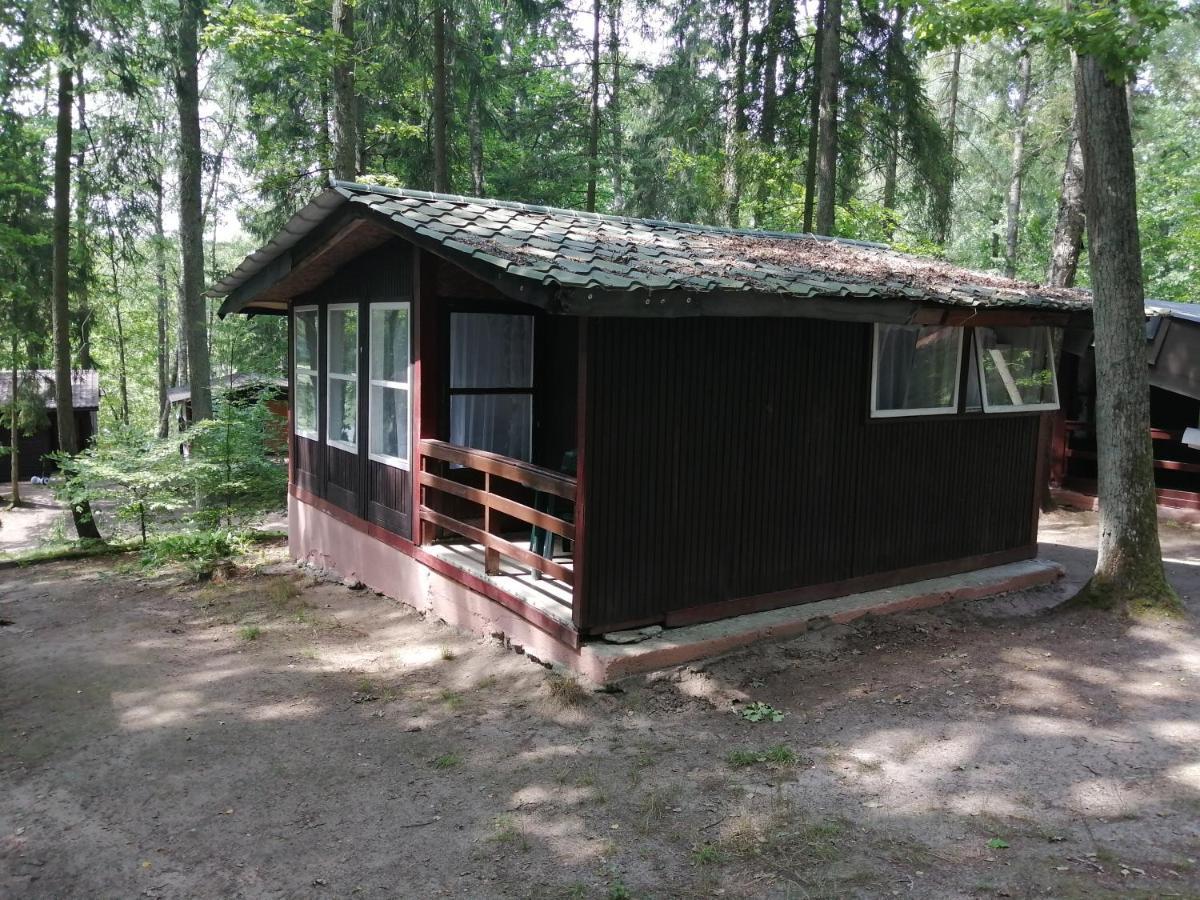 Nova Mazury Lodge *