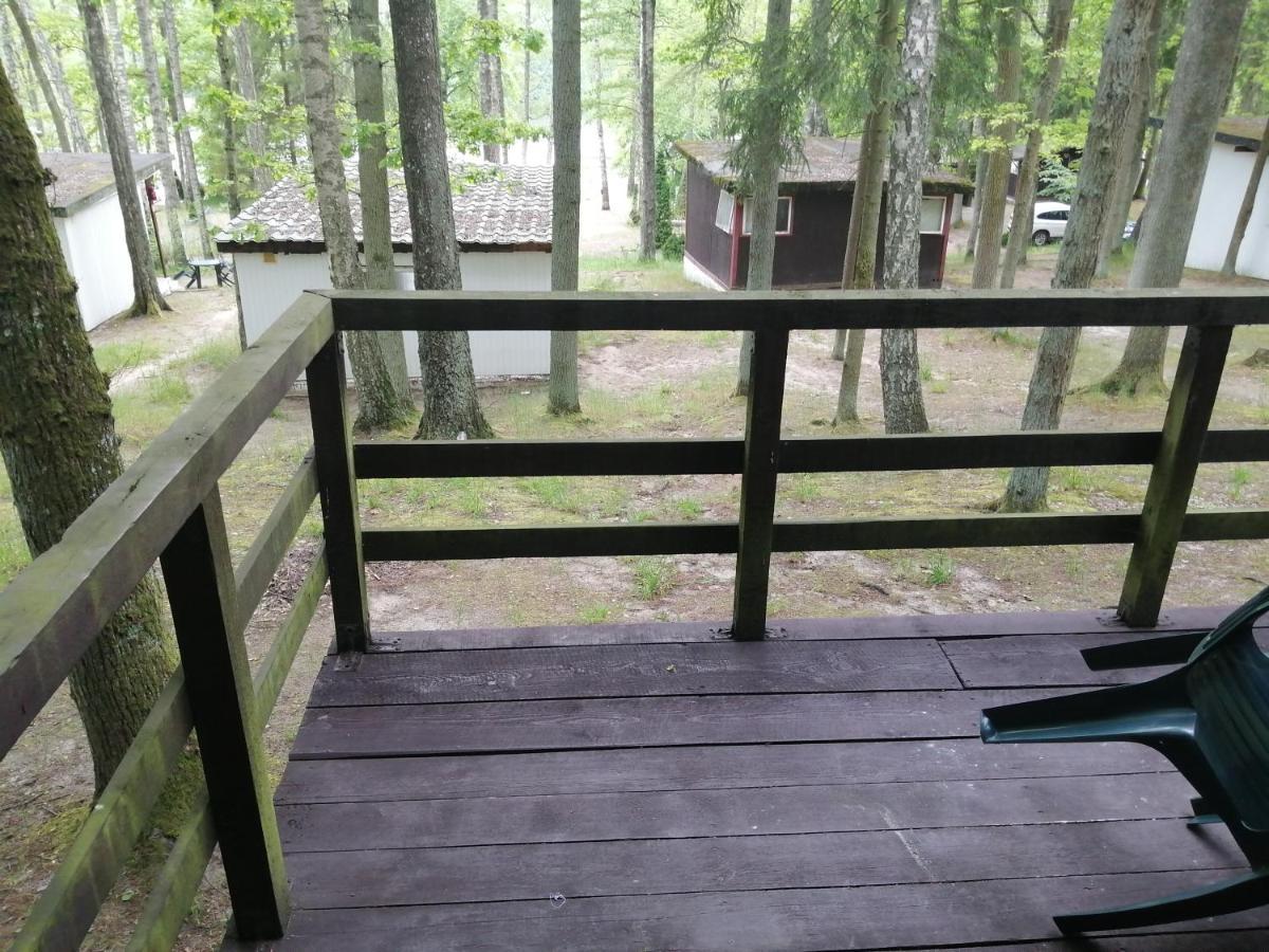 Nova Mazury *
