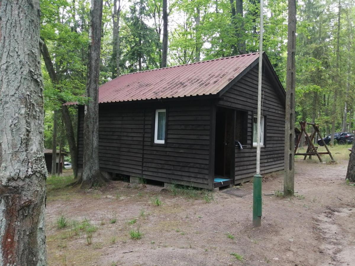 Nova Mazury
